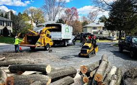 Best Commercial Tree Services  in Buchanan Dam, TX